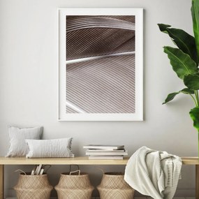 Poster - detaliu de pană de pasăre (A4)