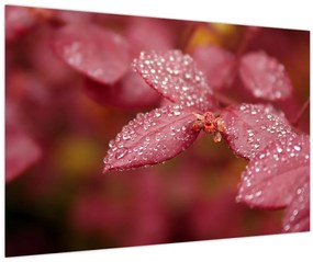 Tablou - Imagine macro a biletului (90x60 cm)