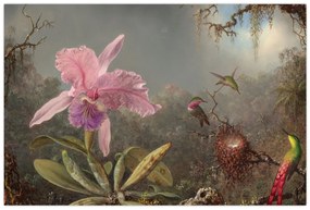 Tablou - Martin Johnson Heade, Cattleya Orchid and Three Hummingbirds, reproducere (90x60 cm)