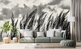 Fototapet iarbă în design alb-negru