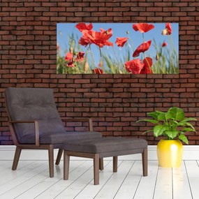 Tablou - Maci (120x50 cm)