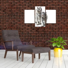 Tablou - Tigrul alb (90x60 cm)