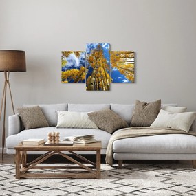 Tablou - Aspen (90x60 cm)