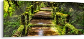 Tablou cu scări într-o pădure tropicală (120x50 cm)