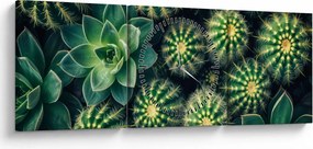 Tablou - Cactuși (cu ceas) (90x30 cm)
