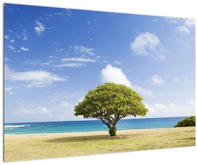 Tablou plaja cu copac (90x60 cm)