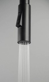 Pipa flexibila pentru baterie bucatarie, cu 2 functii, negru, Deante Luno Negru