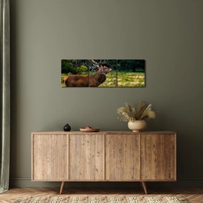 Tablou cu cerb (cu ceas) (90x30 cm)