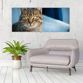 Tablou - Pisica domestică (120x50 cm), în 40 de alte dimensiuni noi