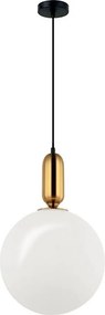 Lustră suspendată pe cablu NEPTUNE 1xE27/40W/230V aurie