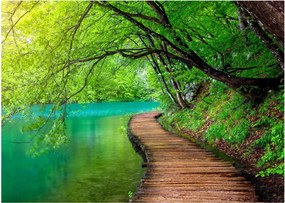 Tablou - Lacurile Plitvice (70x50 cm)