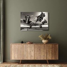 Tablou - Avioane istorice (90x60 cm)