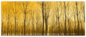 Tablou - Palntație cu pomi (120x50 cm)