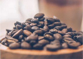 Tabloul cu cafea (70x50 cm)