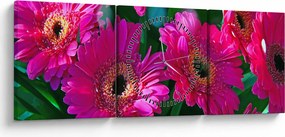 Tablou - floare (cu ceas) (90x30 cm)