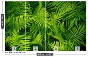 Fototapet Green Fern