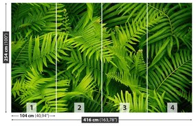 Fototapet Green Fern