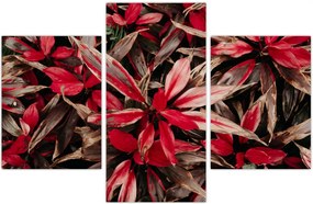 Tablou - Petale roșii (90x60 cm)