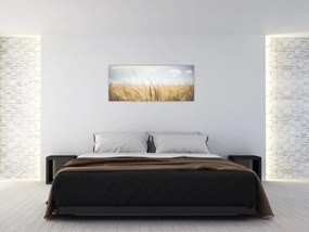 Tablou cu grâne (120x50 cm)