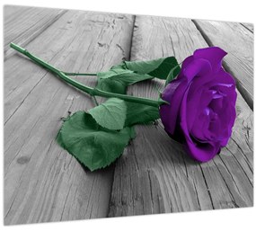 Tablou - Trandafir violet cu tulpina verde (70x50 cm)