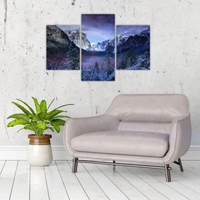 Tablou - Yosemite, USA (90x60 cm)