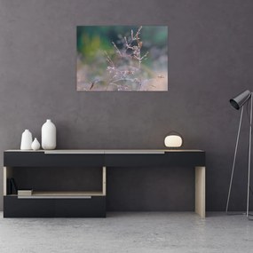 Tablou - Detaliu timp (70x50 cm)