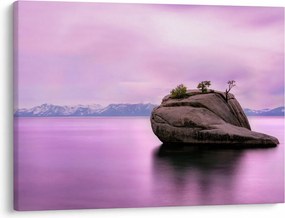 Tablou cu piata în mare (70x50 cm)