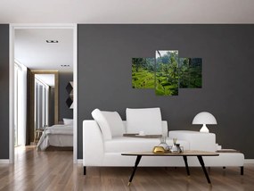 Tablou cu terasele cu orez Tegalalang, Bali (90x60 cm)