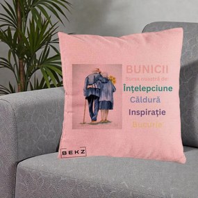 Cadou pentru Bunici - Perna Personalizata Bunicii Sursa Intelepciune Caldura Acuarela, 40x40 cm, Roz, Husa Detasabila, Perna Inclusa, BEKZ®