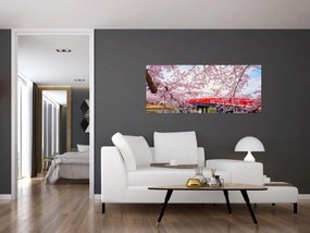 Tablou - Hirosaki, Japonia (120x50 cm)