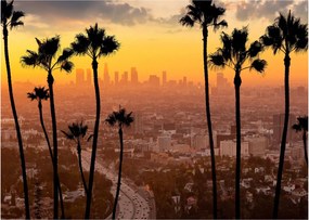 Tablou - Panorama din Los Angeles (70x50 cm)