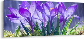 Tablou cuflori în ploaie (120x50 cm)