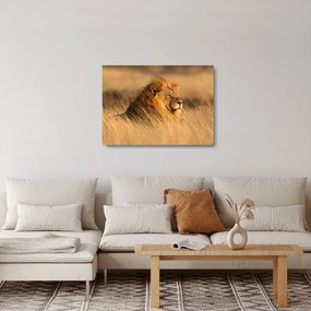 Tablou pe sticlă - Parcul Național Etosha (70x50 cm)