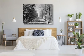 Tablou alee copacilor de toamnă în design alb-negru