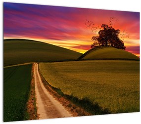 Tablou pe sticlă câmpului cu apus de soare (70x50 cm)