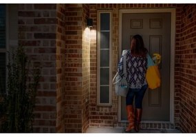 Aplică de exterior BEAM 1xGU10/35W/230V IP44 Ledvance