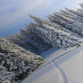 Tablou - Iarna in pădure (120x50 cm)