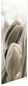Fotojaluzele R012126R57150 (57x150 cm)