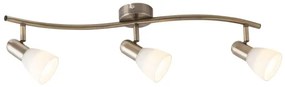 Rabalux 6308 - Lampa spot SOMA 3xE14/40W/230V