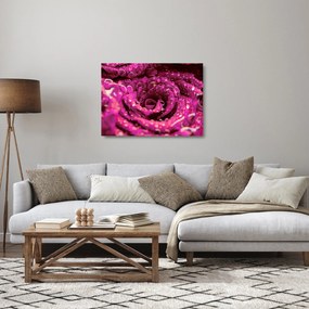 Tablou pe sticlă cu floarea trandafirului roz (70x50 cm)
