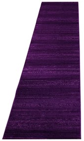 Covor tip traversă violet 80x300 cm Plus – Ayyildiz Carpets