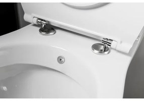 Sapho - Vas WC combinat cu duș bideu, evacuare pe spate, ceramică/alb