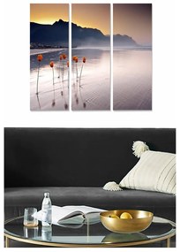 Tablouri 3 buc. 20x50 cm – Wallity