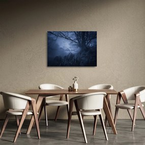 Tablou pe sticlă pădurii întunecate (70x50 cm)