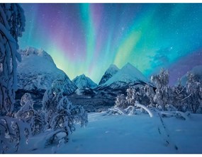 RAVENSBURGER - PUZZLE SPECTACOL ARCTIC 1500 PIESE - RAVENSBURGER (RVSPA00802)