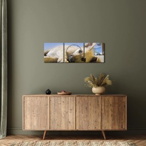 Tablou cu cățeluș dormind (cu ceas) (90x30 cm)