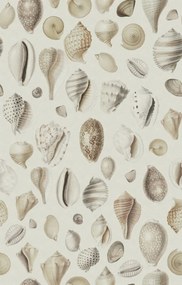 Tapet Ocean Shells, Sand, Rebel Walls