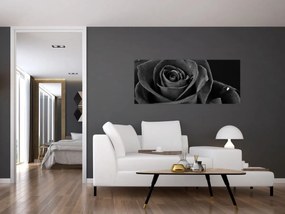 Tablou - Trandafir roșu aprins (120x50 cm)