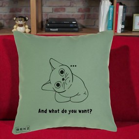 Perna Decorativa And What Do You Want Cat, 40x40 cm, Verde, Husa Detasabila, Perna Inclusa, BEKZ®