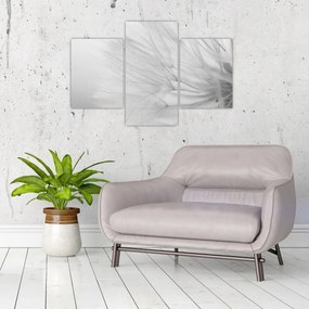 Tablou - Dandelion (90x60 cm)